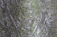 Crossburn fibreglass roof work